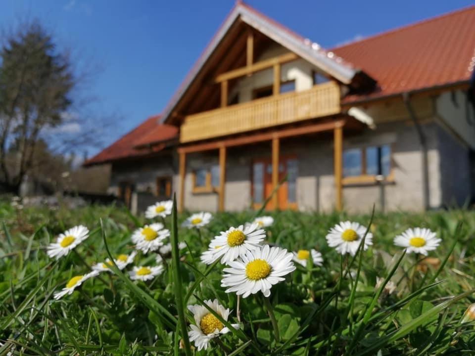Wandertraum Johann - Fewo Eifel Kruft Экстерьер фото